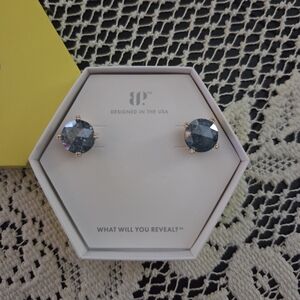 NWT bp Blue Stud Earrings
